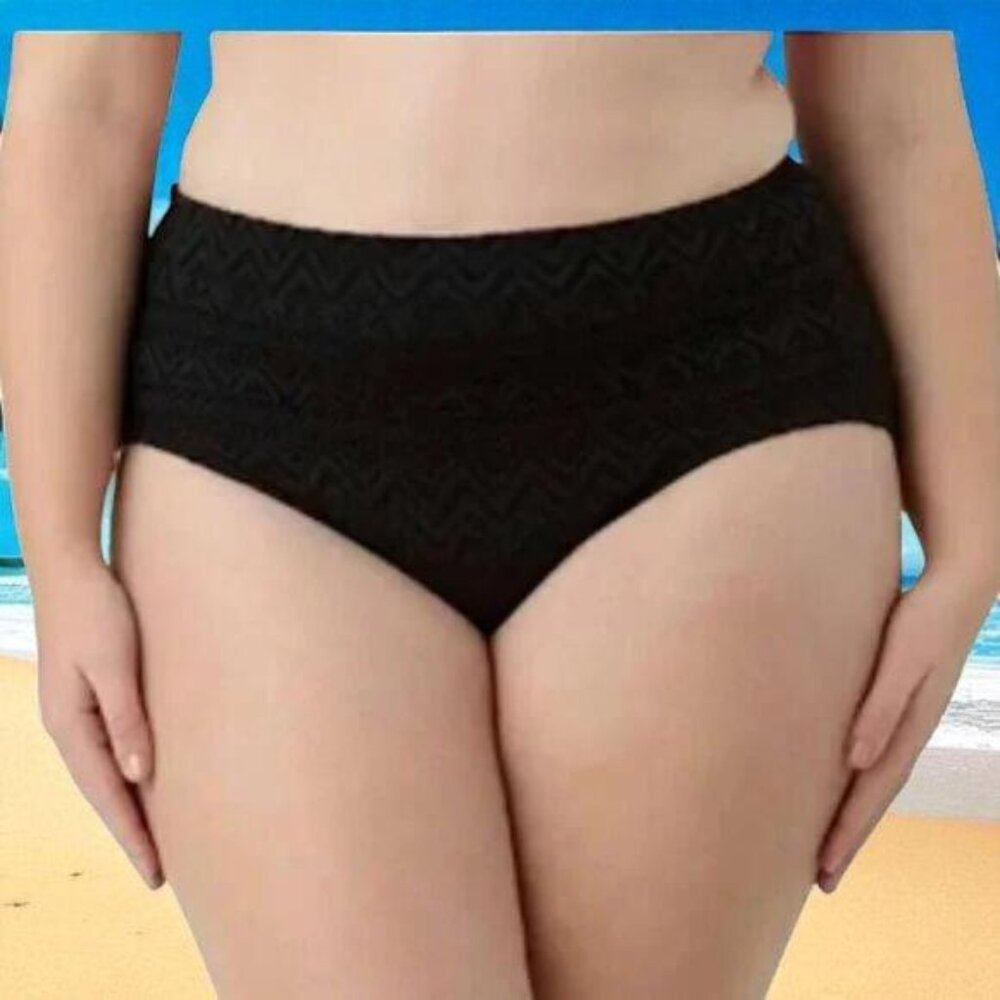 Catalina Swimsuit Brief Bottom  2X (18W-20W)